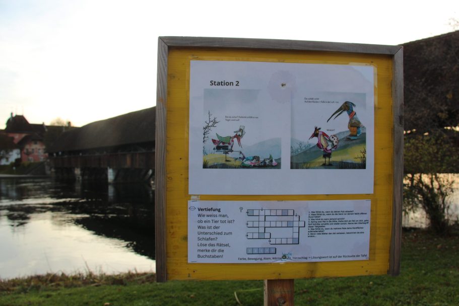 Trauer und Tod thematisieren